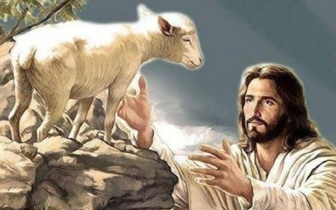 Avisos – IV Domingo de Pascua